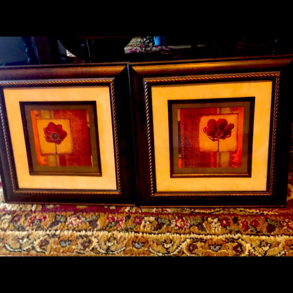 2 Framed Art pieces